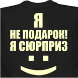 Футболка Я не подарок 